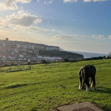 Stylish Retreat Sleeps 7 Harbour Views Tatil Evi Whitby